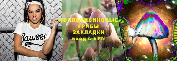 шишки Майский