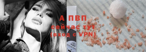 шишки Майский